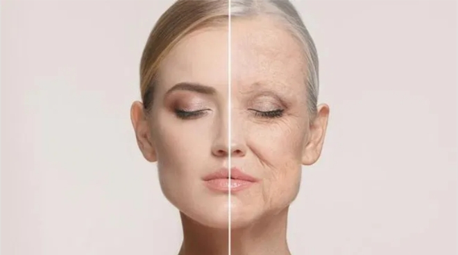 Image of a woman's face split down the middle, showing youthful, smooth skin on the left and aged, wrinkled skin on the right