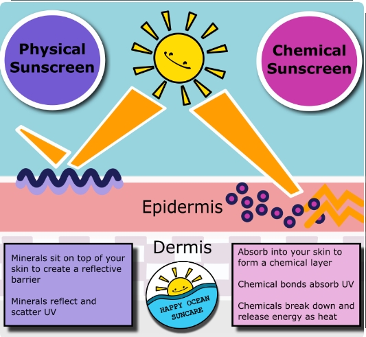 Infographic comparing physical and chemical sunscreens. The left side explains how physical sunscreens create a reflective barrier on top of the skin and reflect UV rays. The right side describes how chemical sunscreens absorb into the skin and convert UV rays into heat.