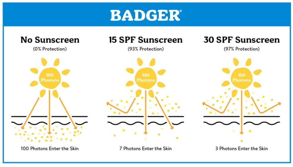 Infographic comparing no sunscreen, 15 SPF sunscreen, and 30 SPF sunscreen protection levels.